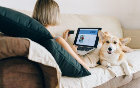 A woman using a laptop for online shopping with her corgi dog beside her on the couch.